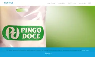 Preview of the Pingo Doce Case Study