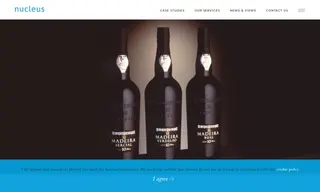 Preview of the Henriques & Henriques Case Study