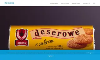Preview of the Lajkonik Case Study