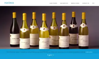 Preview of the Marks & Spencer Case Study