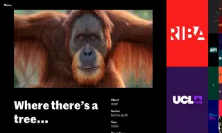 Preview of the World Wildlife Fund in the UK (wwf) Case Study