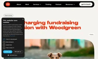 Preview of the Woodgreen Case Study