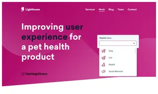 Preview of the VetHelpDirect Case Study