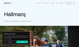 Preview of the Hallmarq Case Study