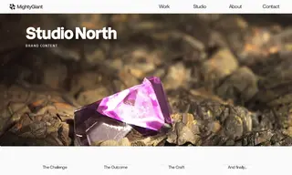 Preview of the Studio North Case Study