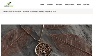 Preview of the Silver Tree Case Study