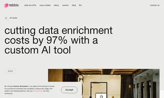 Preview of the Rebbix Case Study