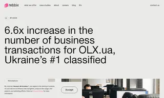 Preview of the OLX.ua Case Study