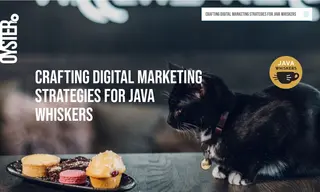 Preview of the Java Whiskers Case Study