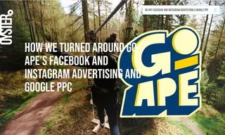 Preview of the Go Ape Case Study
