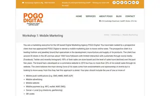 Preview of the Leading Fashion and Jewellery Brand Case Study