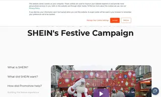 Preview of the SHEIN Case Study