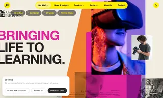 Preview of the University of Bristol Case Study