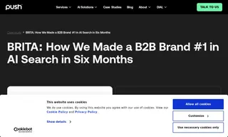 Preview of the Brita Case Study