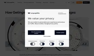 Preview of the Getinge Group Case Study