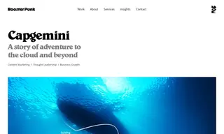 Preview of the Capgemini Case Study