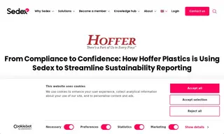 Preview of the Hoffer Plastics Case Study