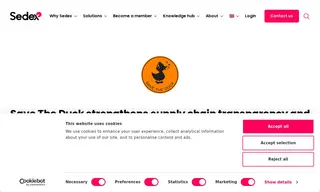 Preview of the Save the Duck Case Study