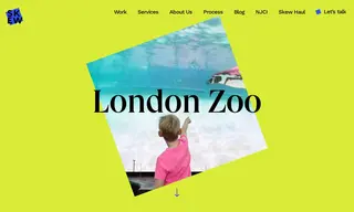 Preview of the ZSL (Zoological Society of London) Case Study