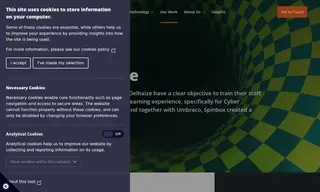 Preview of the Ahold Delhaize Case Study
