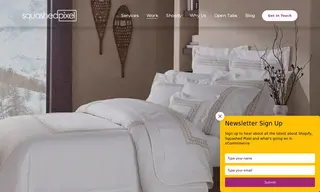 Preview of the Woods Fine Linens Case Study