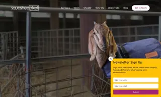 Preview of the AniMac Case Study