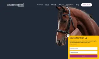 Preview of the Saracen Horse Feeds Case Study