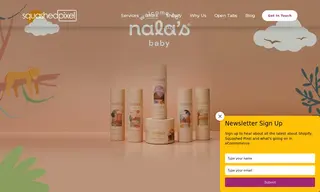 Preview of the Nala’s Baby Case Study