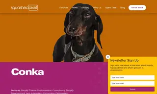 Preview of the Conka Case Study
