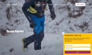 Preview of the Sole Mate Case Study