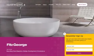 Preview of the Fitz George Case Study