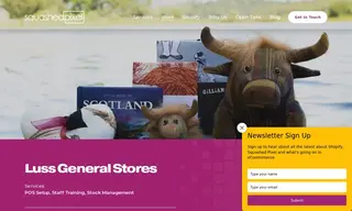 Preview of the Luss General Store Case Study