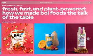 Preview of the BOL Foods Case Study