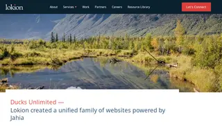 Preview of the Ducks Unlimited Case Study