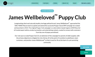 Preview of the James Wellbeloved Case Study