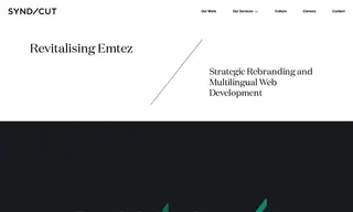 Preview of the Emtez Case Study