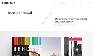 Preview of the Barcode Festival Case Study