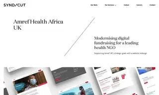 Preview of the Amref Health Africa UK Case Study