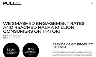 Preview of the Tangle Teezer Case Study
