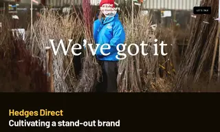 Preview of the Hedges Direct Case Study