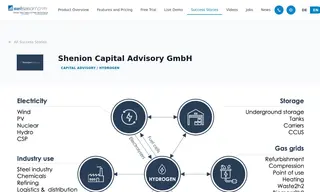 Preview of the Shenion Capital Advisory GmbH Case Study