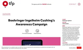 Preview of the Boehringer Ingelheim Case Study