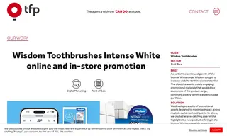 Preview of the Wisdom Toothbrushes Case Study