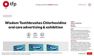 Preview of the Wisdom Toothbrushes Case Study