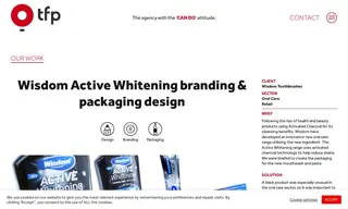 Preview of the Wisdom Toothbrushes Case Study