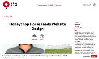 Preview of the Honeychop Case Study