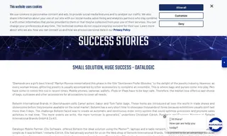 Preview of the Beheim International Brands GmbH & Co KG Case Study