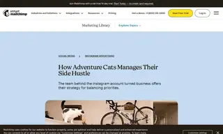 Preview of the Adventure Cats Case Study