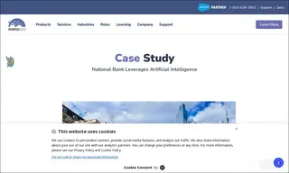 Preview of the National Bank Case Study