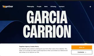 Preview of the Garcia Carrion Wines Case Study